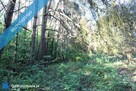 Wyjątkowa nieruchomość inwestycyjna 4,45 ha z dostępem do rzeki | Troniny | gm. Lipie - 15