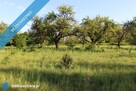 Działka nad rzeką Liswartą | Troniny | możliwość wydzielenia ok. 4000 m² | media | MPZP - 4