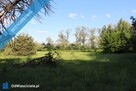 Działka nad rzeką Liswartą | Troniny | możliwość wydzielenia ok. 4000 m² | media | MPZP - 5