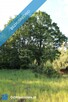 Działka nad rzeką Liswartą | Troniny | możliwość wydzielenia ok. 4000 m² | media | MPZP - 14