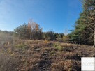 Działki | Budowlane | w Lesie | Krubin -| – Bieńki – - 16