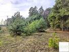 DZIAŁKA 2935 m² POD LASEM – BIEŃKI-ŚMIETANKI, GM. SOŃSK - 12