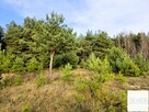 DZIAŁKA 2935 m² POD LASEM – BIEŃKI-ŚMIETANKI, GM. SOŃSK - 9