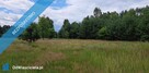 Sprzedam siedlisko 4000 m2 Cisza i spokój, dojazd z Warszawy trasą S7 - 14