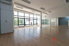 Duży lokal usługowy 274 m2 | Bronowice - 2