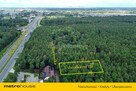 Leśna oaza pod Warszawą. Las, cisza i dobry dojazd - 3
