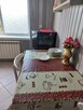 Parter 100 metrowy domu do wynajęcia w Ciechocinku - 4