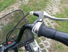 Rower miejski greens - 2