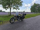 Legendarna Honda Shadow 125 CC - 8
