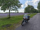 Legendarna Honda Shadow 125 CC - 2