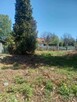 sprzedam ogródek działkowy - 1