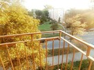 Kawalerka z balkonem, pet friendly, Kusocińskiego - 8