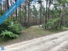 Działka leśna w Ryni, gmina Dobre – 6 379 m² - 1
