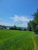 Działka budowlana Krzeszowice, Podleśna - 7