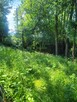 Działka budowlana Krzeszowice, Podleśna - 13