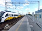 Piękne mieszkanie 76,41m2 z ogródkiem 169,42m2/Jagodno, Iwiny - 2