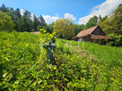 Działka budowlana Łękawka gm. Tarnów - 5