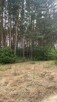 Działka budowlana Kunin gm. Goworowo - 3