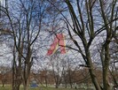 Działka usługowa Kraków Krowodrza, Prądnik Biały, Białoprądnicka - 4