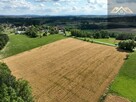 Działka budowlana Lichwin gm. Pleśna - 6