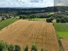 Działka budowlana Lichwin gm. Pleśna - 8