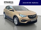 Opel Grandland X 1.2Turbo 130KM M6 2018/2019 r., salon PL, 118tys.km przebiegu - 1