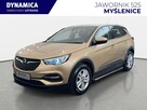 Opel Grandland X 1.2Turbo 130KM M6 2018/2019 r., salon PL, 118tys.km przebiegu - 4
