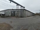 Sprzedam magazyn płaski z suszarnią i BIN 2x500 t - 4