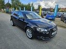 Audi A3 Opłacona Zadbana  Serwisowana Fajnie Wyposażona 1 WŁ Po Serwisie - 3