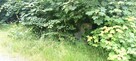 Działka inwestycyjna Zbychowo gm. Wejherowo, Kaszubska - 11