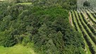 Działka rolna Bilsko gm. Łososina Dolna - 4
