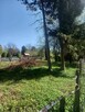 sprzedam ogródek działkowy - 2