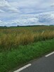 Działki budowlane z bezterminowymi warunkami zabud. – Zborów - 2