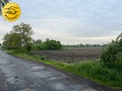 Działka Kalisz - 1