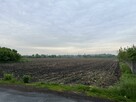 Działka Kalisz - 4