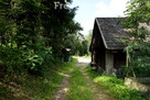 64 ary w Woźnikach - część budowlana i własny las - 16