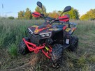 Berreta Bulldog Quad ATV BERETTA BULLDOG 125 Automat Dostawa pod dom Raty na odległość - 2
