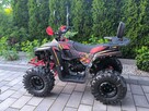 Berreta Bulldog Quad ATV BERETTA BULLDOG 125 Automat Dostawa pod dom Raty na odległość - 3