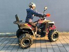 Berreta Bulldog Quad ATV BERETTA BULLDOG 125 Automat Dostawa pod dom Raty na odległość - 12
