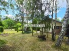 Dwie działki ROD w cenie jednej - 725m2, "Sarenka" - 3