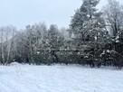 Działka rekreacyjna Wola Uhruska, Wola Uhruska - 3