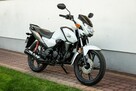 Honda CB 125 F 2021 POLIFT Raty Wysyłka TRANSPORT Największy Wybór Moto 125w PL - 4