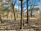Działka developerska 1737 m²-asfaltowy dojazd. - 2