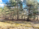 Działka developerska 1737 m²-asfaltowy dojazd. - 9