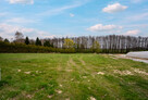 Działka 1037 m2 Jarząbkowice gm. Pawłowice - media, udział w drodze - 14