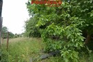 Działka Kielce Herby - 5