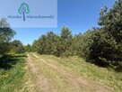 Działka budowlana Kamierowskie Piece gm. Skarszewy, Zielona - 8