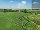 Działka Miechowice Małe gm. Wietrzychowice - 5