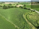 Działka Miechowice Małe gm. Wietrzychowice - 11