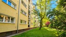 Kawalerka-Poznań Grunwald-Włodkowica - 10
